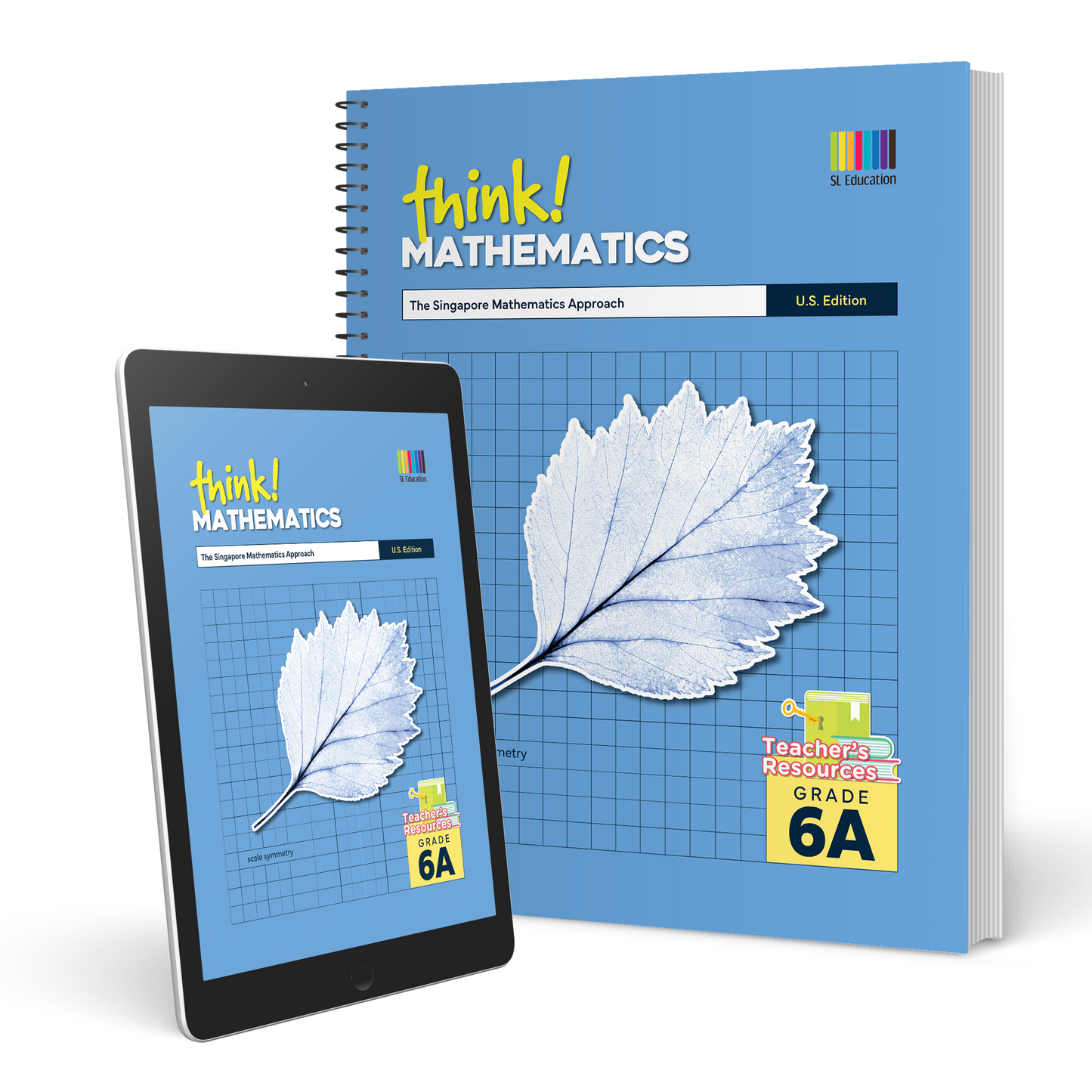 think! Mathematics Premium Teacher's Resources Grade 6 - think!Mathematics